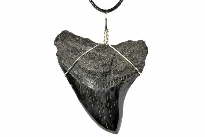 Fossil Megalodon Tooth Necklace #130935